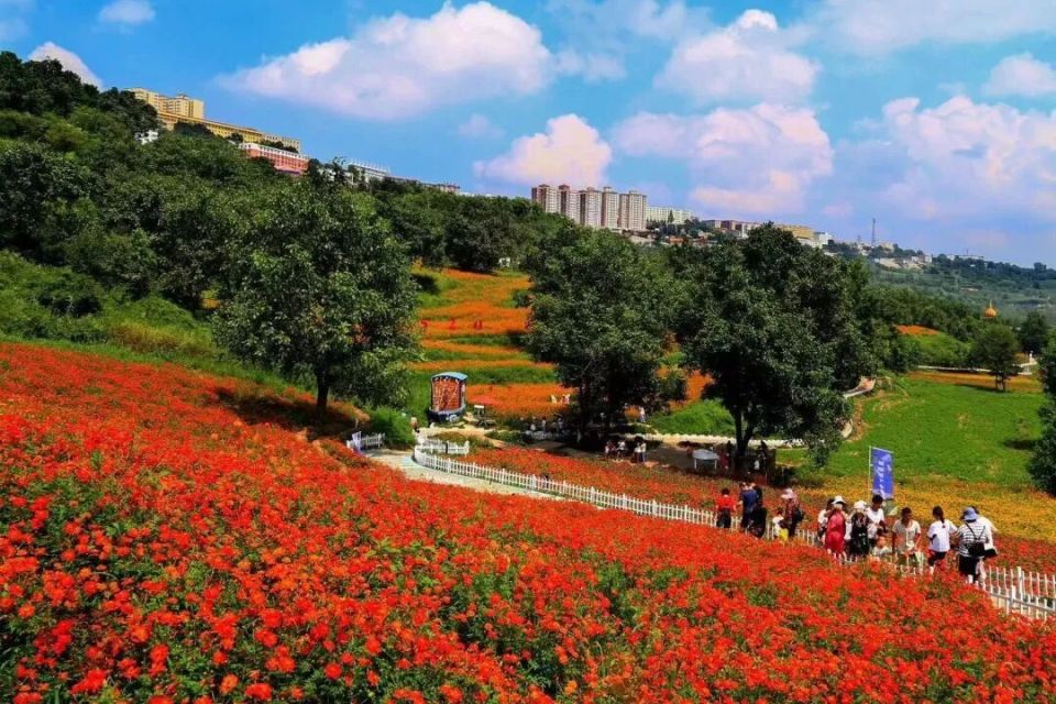 cud, 机关迁驻红, com cud, 机关迁驻红, com