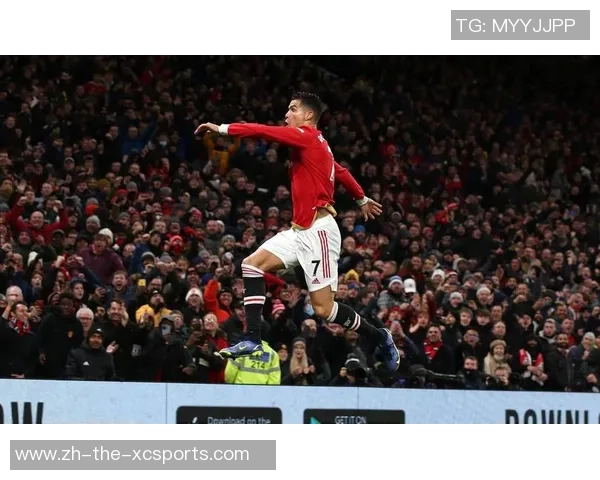 爱尔兰主帅：C罗仅仅一时冲动；球迷营建了难以置信的气氛